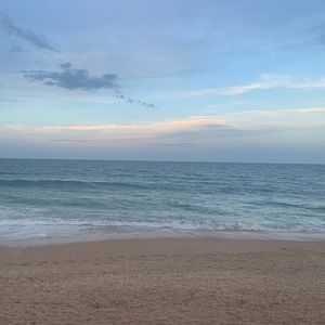 Meet your Posher, Ava